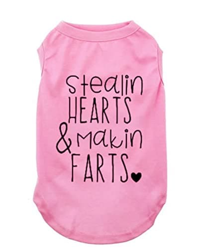 Thing 1-9 Soft Breathable Dog T-Shirts - Pop Culture Pet Apparel