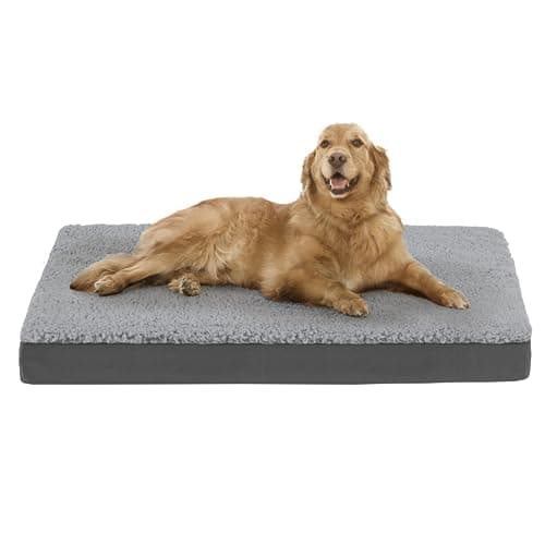 Codi Orthopedic XL Dog Bed - Memory Foam, Washable & Reversible