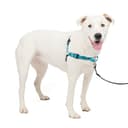 PetSafe Easy Walk Deluxe Cat Harness - No Pull Design for Training thumbnail