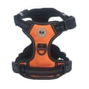 ZeusDaBear Reflective No-Pull Cat Harness with Dual Clips thumbnail