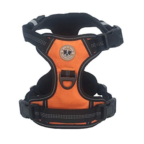 ZeusDaBear Reflective No-Pull Cat Harness with Dual Clips