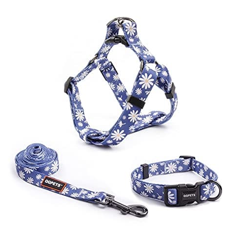 Floral Cat Harness, Collar & Leash Set - No Pull, Adjustable