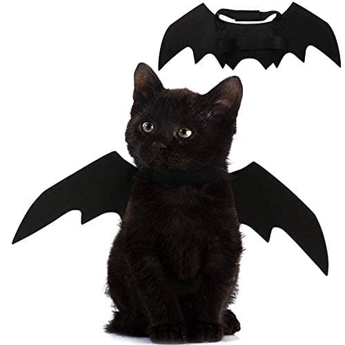 Cat Bat Wings Halloween Costume - Adorable Party Dress Up Set