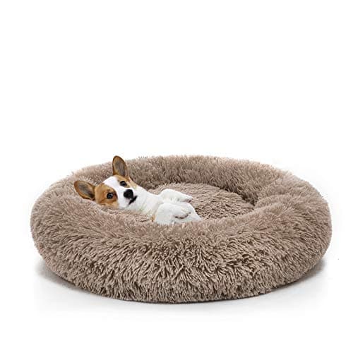Orthopedic Donut Cuddler Dog Bed - Ultra Soft & Washable