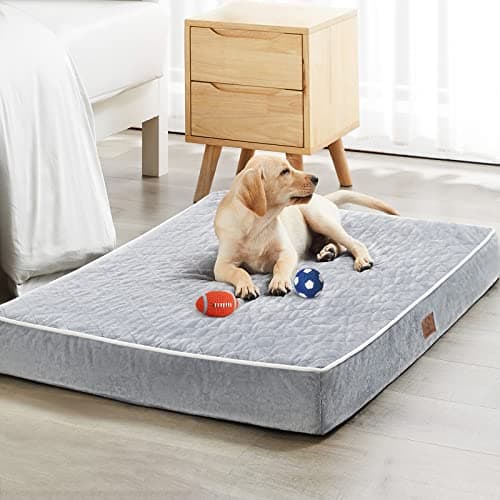 Orthopedic Dog Bed with Washable Cover - Extra Large