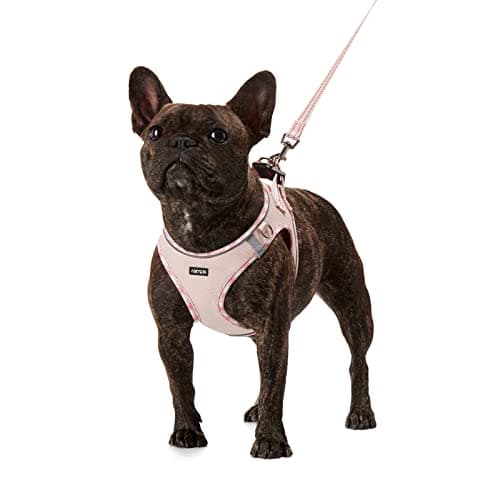 No-Escape Soft Mesh Cat Harness with Leash Set - Pink