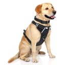 No-Pull Cat Harness with Reflective Straps & Comfort Padding thumbnail