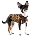 Gold Paw Duluth Double Fleece Dog Coat – Reversible & Stretchy thumbnail