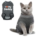Professional Cat Recovery Suit - Comfortable E-Collar Alternative thumbnail