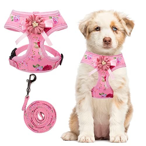 Floral No Pull Cat Harness with Leash Set - Soft & Comfortable