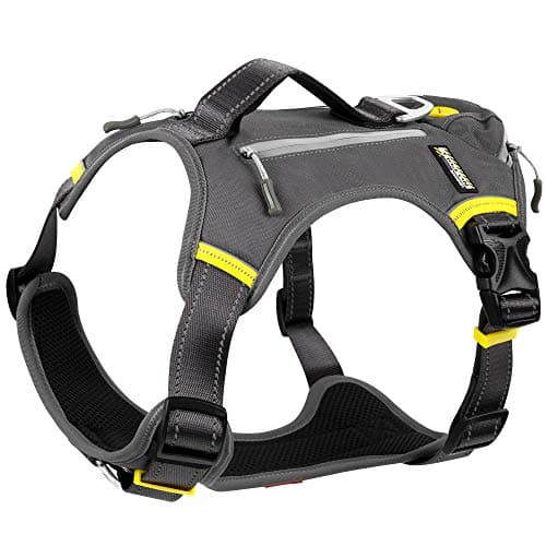 Multi-Functional No-Pull Cat Harness with Hidden Storage Pockets