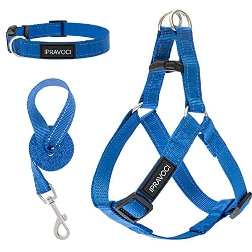 No Pull Step-In Cat Harness & Leash Set - Reflective & Adjustable