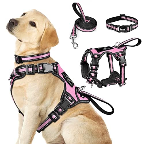 3-in-1 Reflective Cat Harness with Collar & Leash Set - Pink