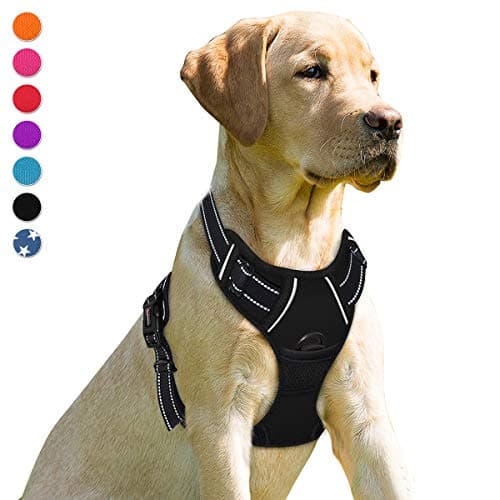 BARKBAY No Pull Cat Harness with Reflective Strips & Control Handle