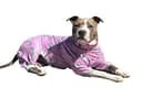 Tooth and Honey Pink Shark Print Pitbull Pajamas - Dog Onesie thumbnail