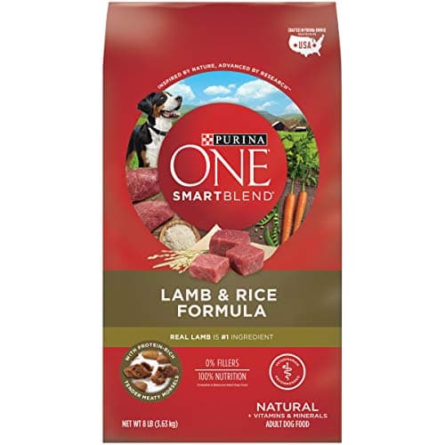 Purina ONE SmartBlend Lamb & Rice Dog Food - 8 lb
