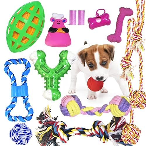 15-Piece Interactive Dog Toy Set with Chew, Squeak & Rope Toys